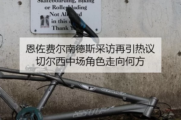 en-zuo-fei-er-nan-de-si-cai-fang-zai-yin-re-yi-qie-er-xi-zhong-chang-jue-se-zou-xiang-he-fang-2-499.jpg